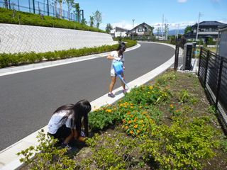 8.29ボラ3.jpg