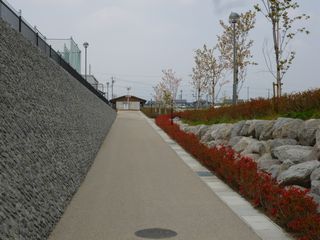 つつじ1.jpg